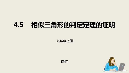 北师大版九年级上册数学《相似三角形判定定理的证明》图形的相似说课教学复习课件