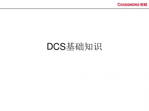 DCS基础知识培训讲义(PPT45张)