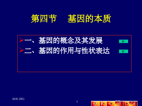 《基因的本质》PPT课件