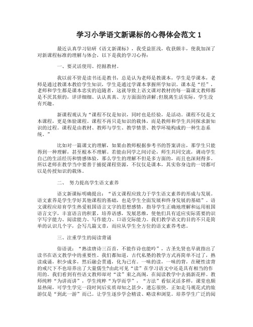 学习小学语文新课标的心得体会3篇