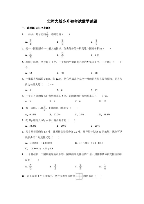 北师大版数学小升初试题(含答案)