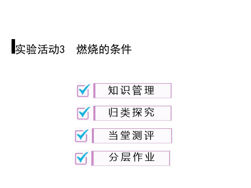 实验活动3 燃烧的条件