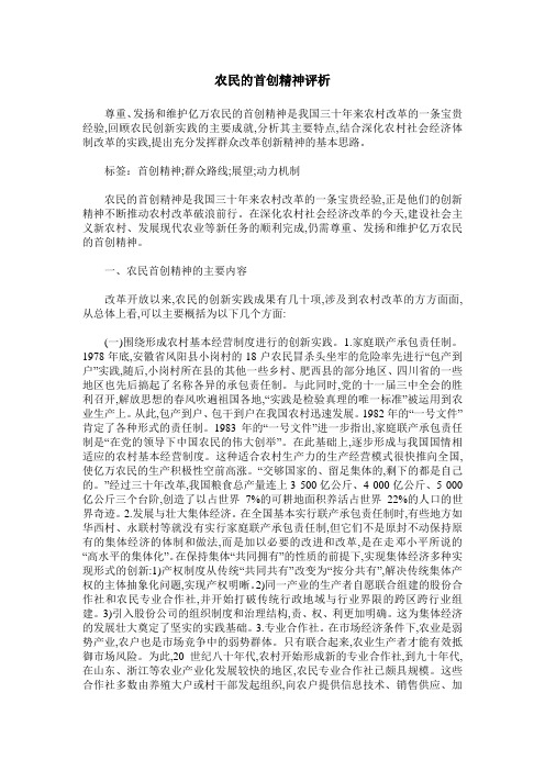 农民的首创精神评析