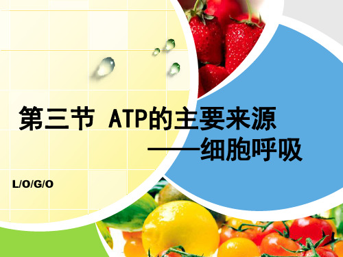 人教版高中生物必修一 第五章 第三节  ATP的主要来源——细胞呼吸