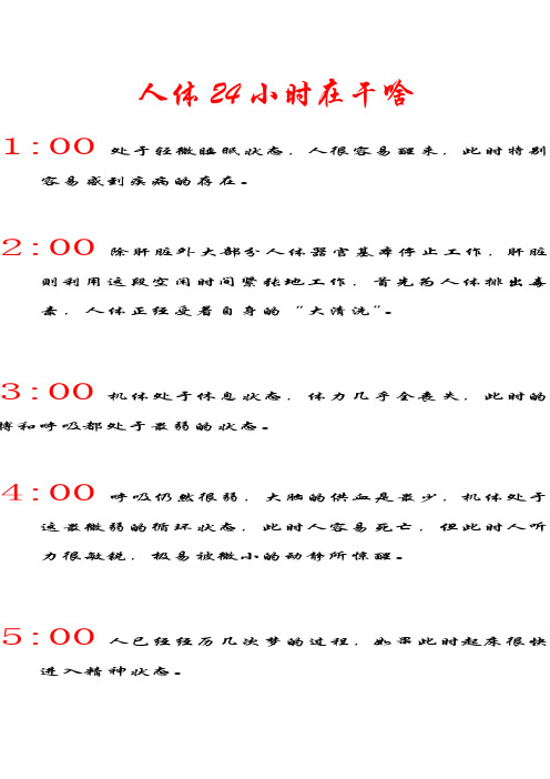 人体24小时在干啥
