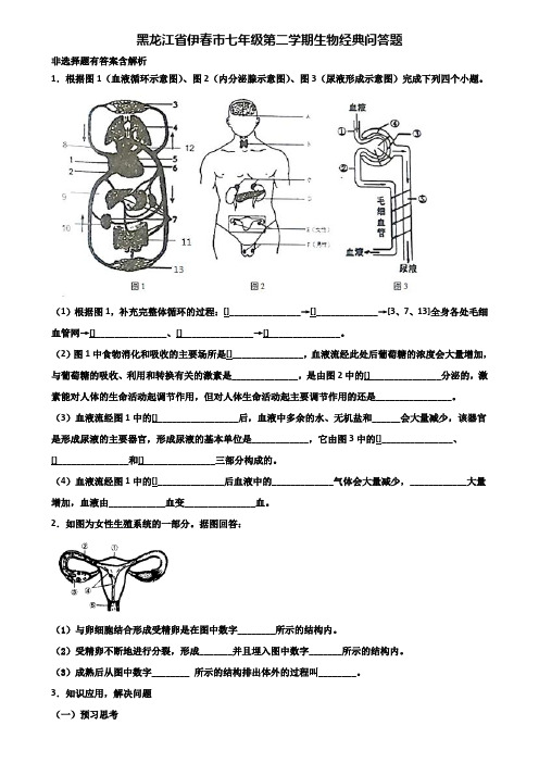 黑龙江省伊春市七年级第二学期生物经典问答题含解析