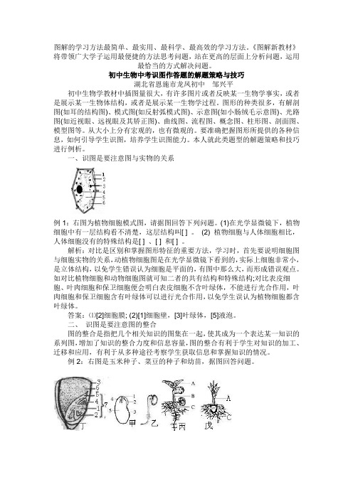 初中生物中考识图作答题的解题策略与技巧