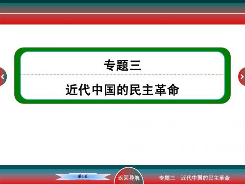 高考历史政治文明史新民主主义革命