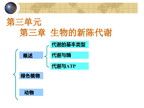 [PPT]生物的新陈代谢复习-PowerPointPr