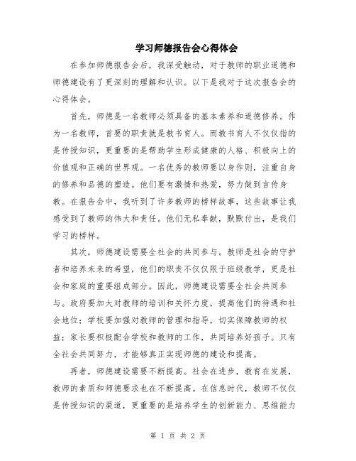 学习师德报告会心得体会