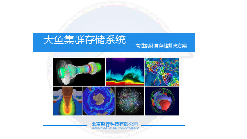 大鱼集群存储系统-高性能计算存储解决方案