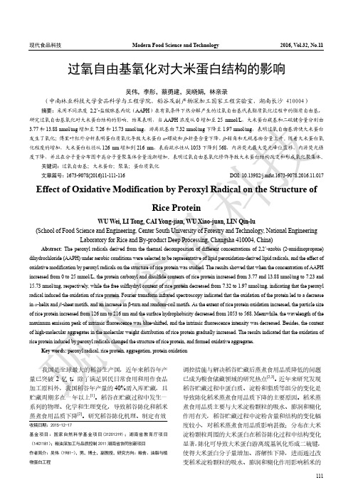过氧自由基氧化对大米蛋白结构的影响