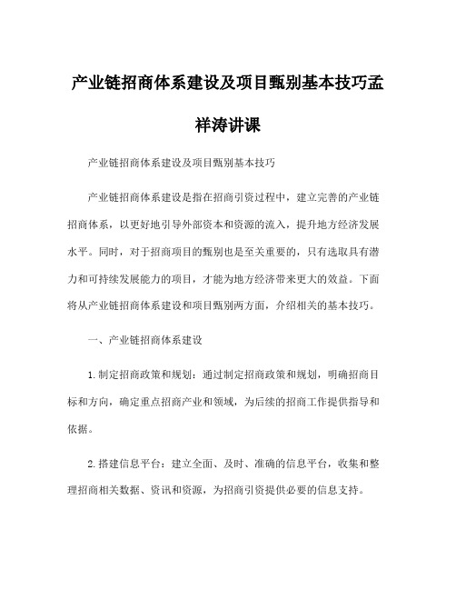 产业链招商体系建设及项目甄别基本技巧孟祥涛讲课