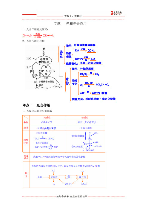 光和光合作用