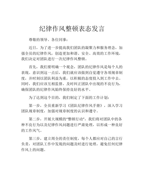 纪律作风整顿表态发言