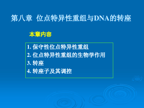 8位点特异性重组与DNA的转座12精品PPT课件