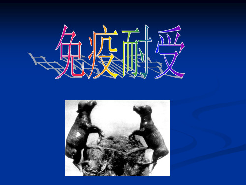 第15章 免疫耐受