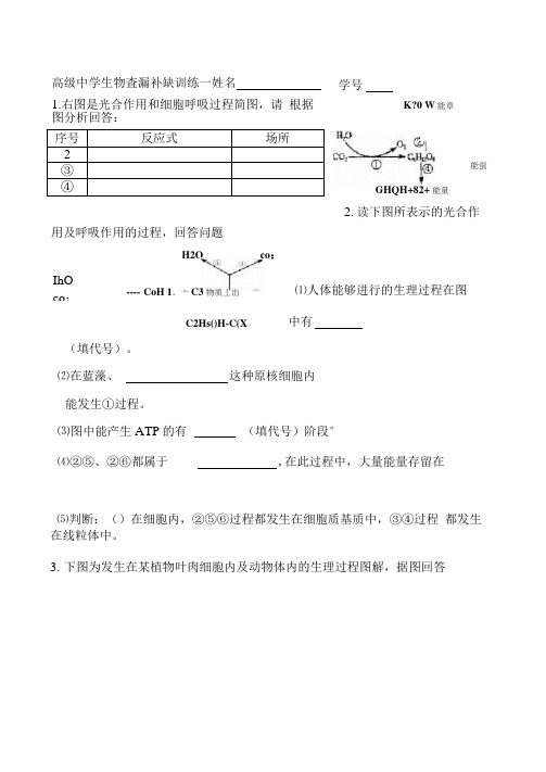 2021届高考生物查漏补缺训练试题一