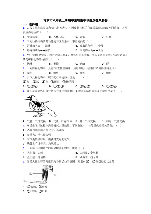 南京市八年级上册期中生物期中试题及答案解答