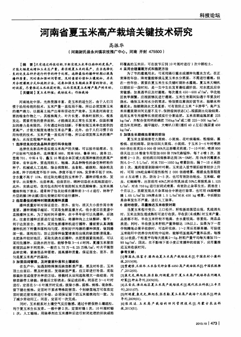 河南省夏玉米高产栽培关键技术研究