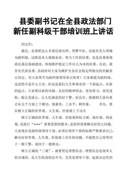 县委副书记在全县政法部门新任副科级干部培训班上讲话