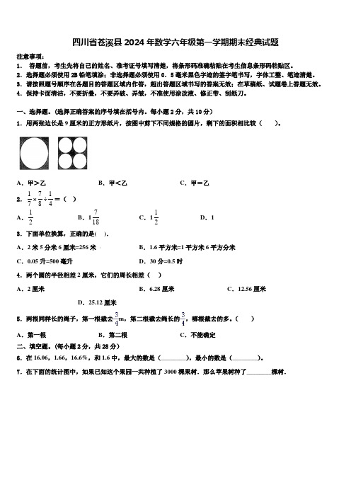 四川省苍溪县2024年数学六年级第一学期期末经典试题含解析