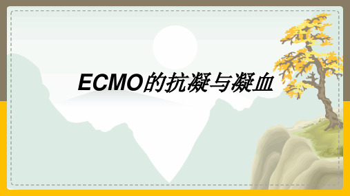 ECMO抗凝