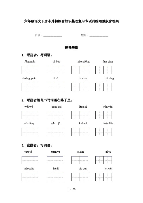 六年级语文下册小升初综合知识整理复习专项训练湘教版含答案