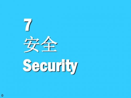 计算机导论PPT第七章_安全(1)