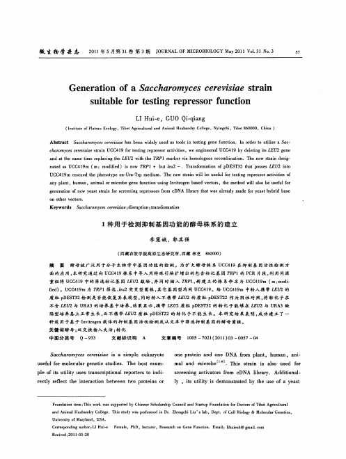 1种用于检测抑制基因功能的酵母株系的建立(英文)