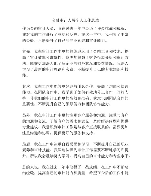 金融审计人员个人工作总结