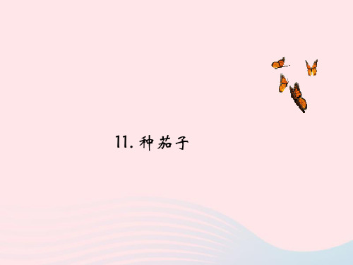 四年级科学下册第四单元生长与变化第11课种茄子课件1冀教版