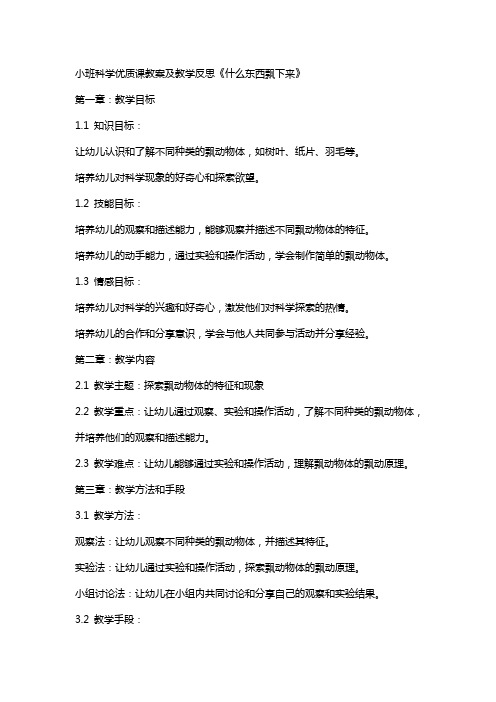 小班科学课教案及教学反思《什么东西飘下来》