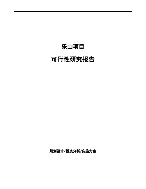 乐山项目可行性研究报告参考模板