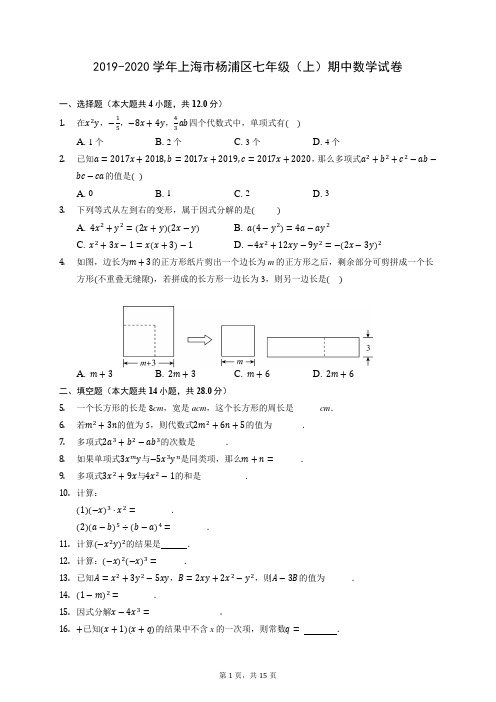 2019-2020学年上海市杨浦区七年级(上)期中数学试卷 (有答案)