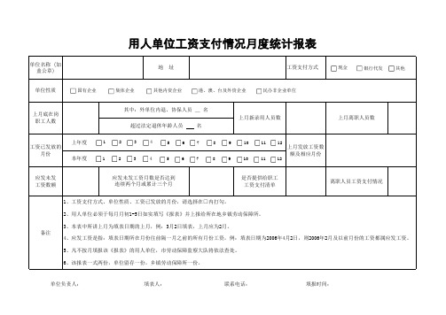 用人单位工资支付情况月度统计报表