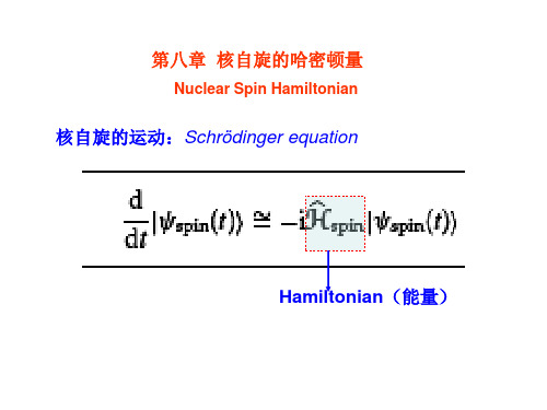 自旋动力学第八章 核自旋的哈密顿量