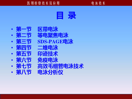 电泳技术PPT课件2