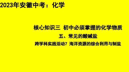 跨学科实践活动7 海洋资源的综合利用与制盐