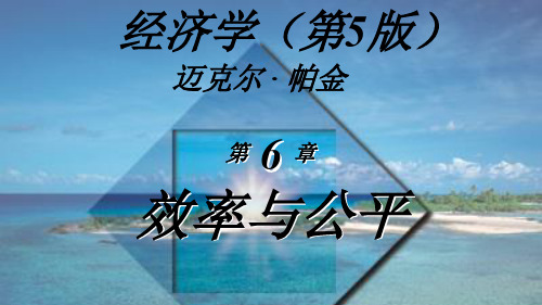 经济学之效率与公平(ppt 46页)