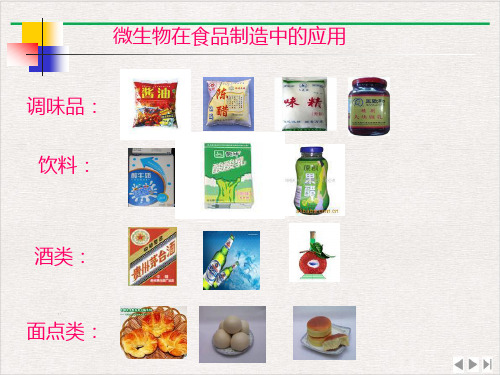 食品微生物学食品制造中的主要微生物及其应用完整版PPT