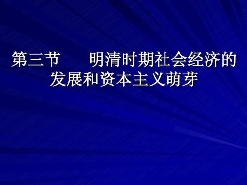 2007年高考历史复习课件明清时期社会经济的发展和资本主义萌芽