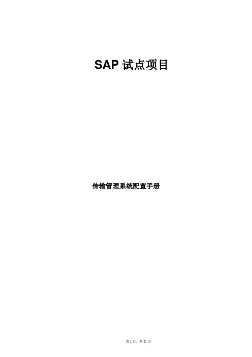 SAP传输管理系统配置手册