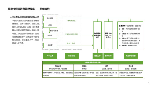 2020年旅游度假区运营管理模式设计(内部资料)