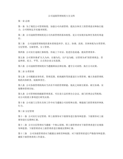 公司逐级管理制度大全文档