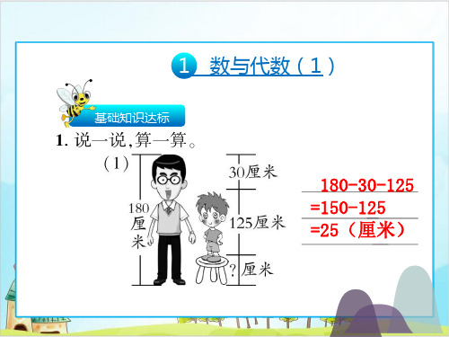 三年级上册数学课件总复习北师大版