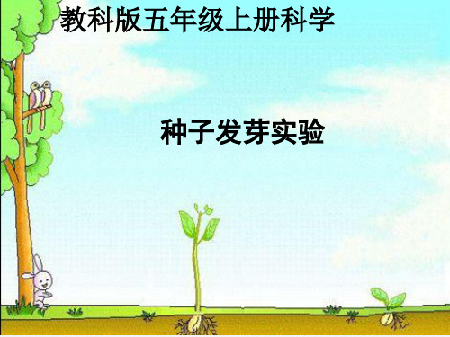 种子发芽实验(二)