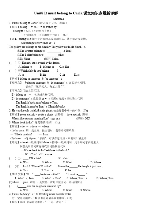 人教版九年级英语Unit8-It-must-belong-to-Carla.课文知识点最新详解