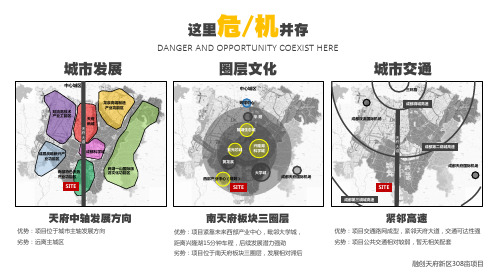 01 融创天府新区低密度豪宅项目(洋房 叠拼 合院)方案文本 2019年