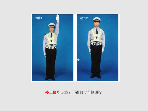 活动二探索信息编码